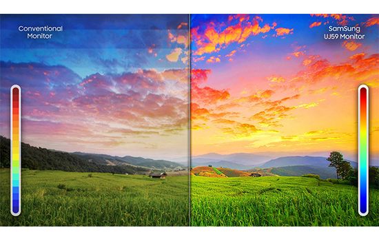 Vision